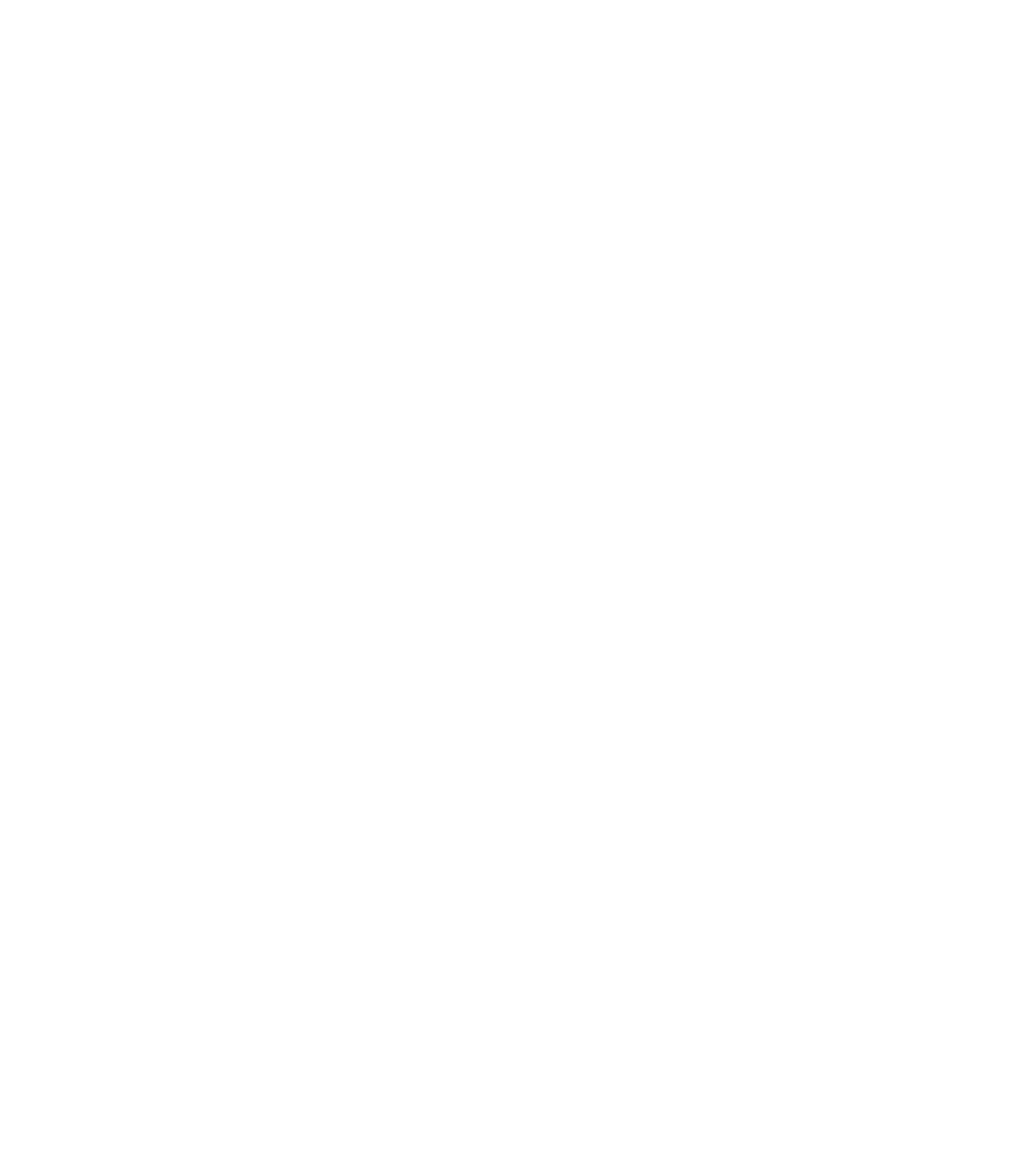 Town Hall 1873 Theatre